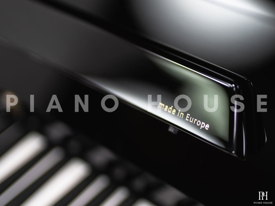 Wilhelm Schimmel W118 Tradition (Ebony High Gloss)