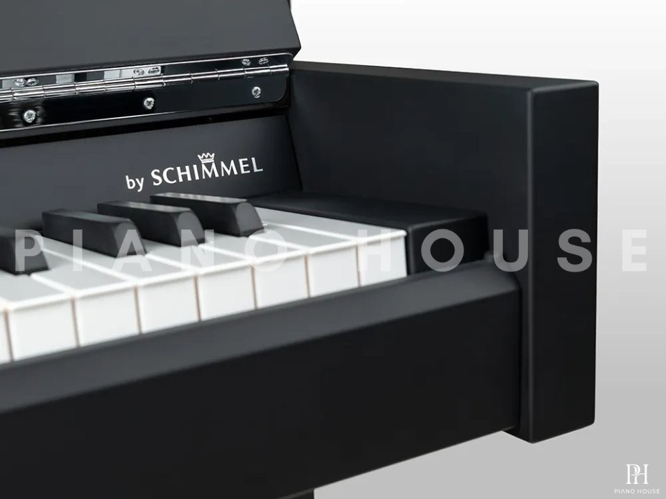 Wilhelm Schimmel W114 Modern Super Matt