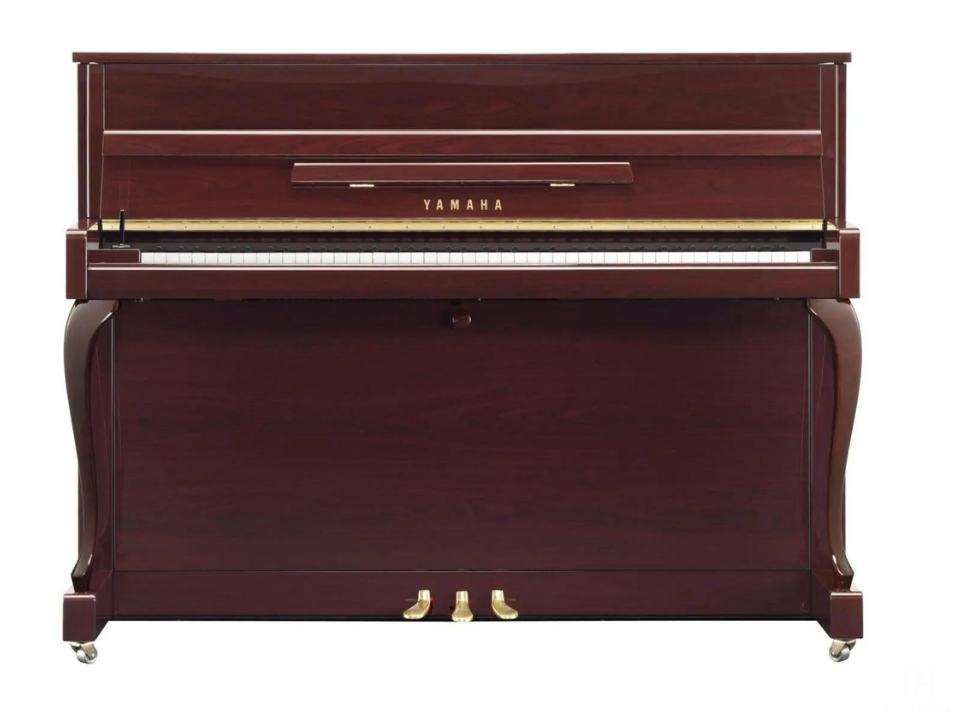 Yamaha B113