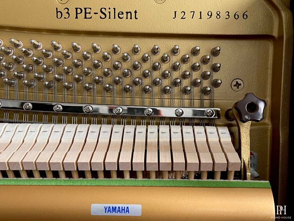 Yamaha B3