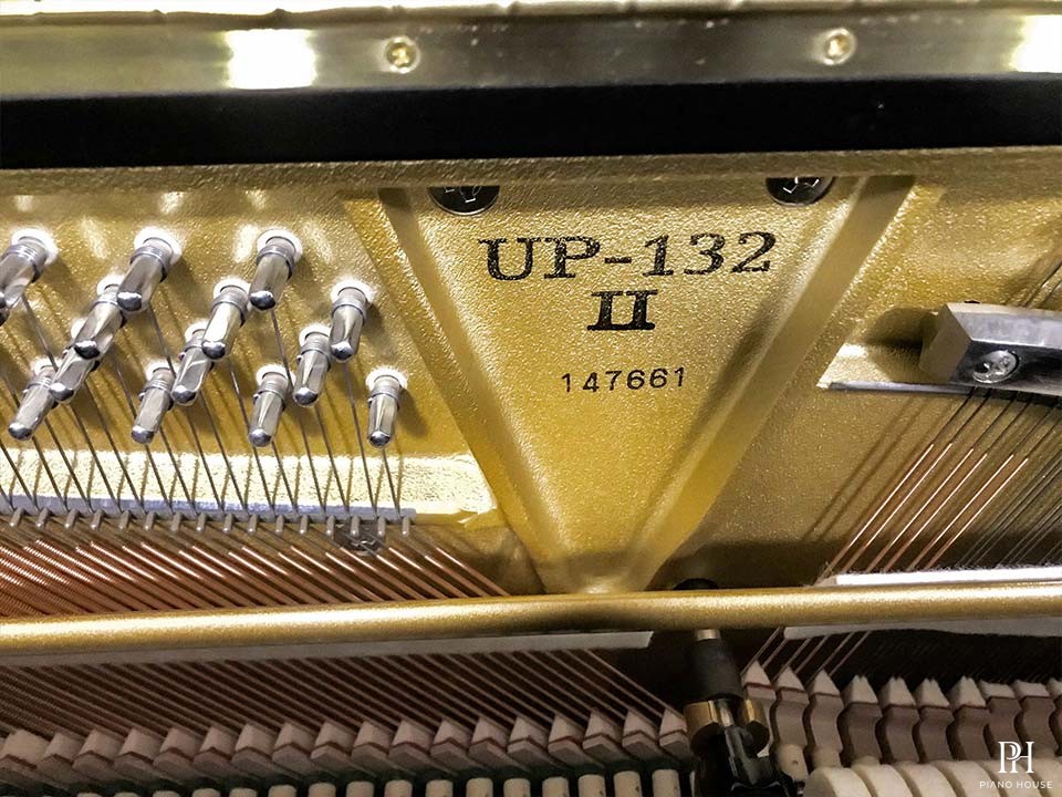 Boston UP-118E PE