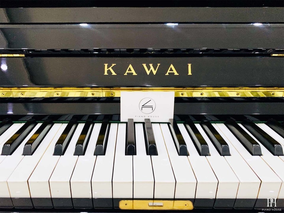 KAWAI BL51 PE