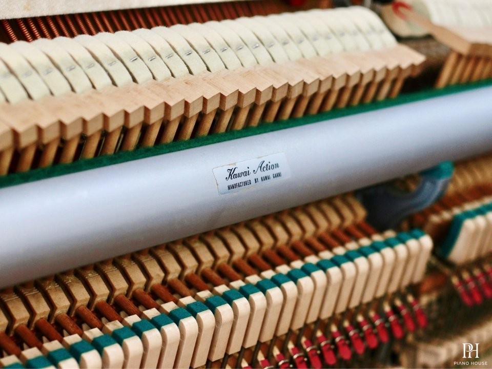 KAWAI BL61 Superior