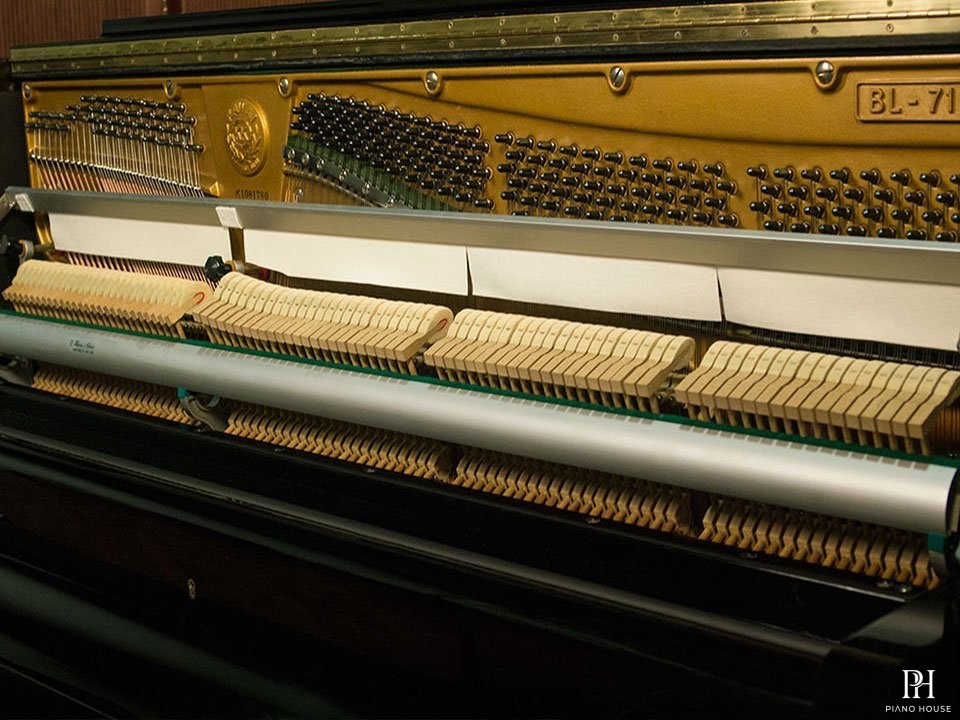 KAWAI K71