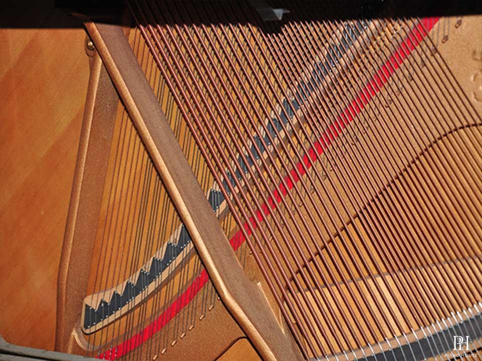 KAWAI BL31
