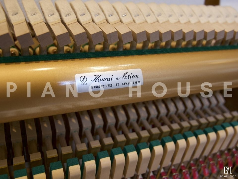 KAWAI CX-21D PE