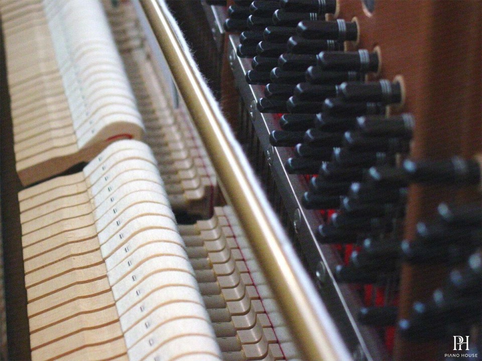 KAWAI KS5F