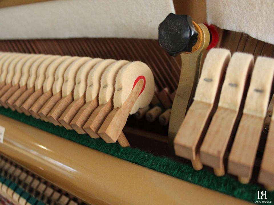 KAWAI KS5F