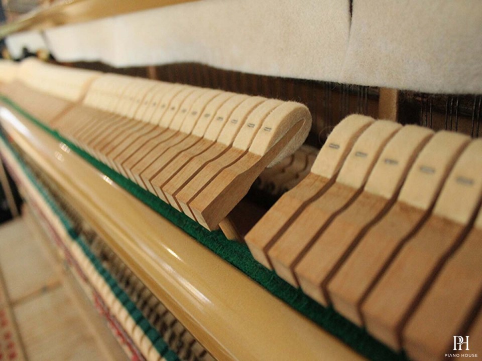 KAWAI KS5F