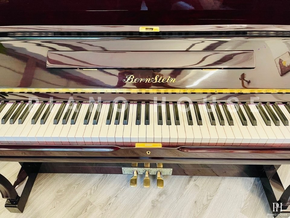 BernStein BU-230D