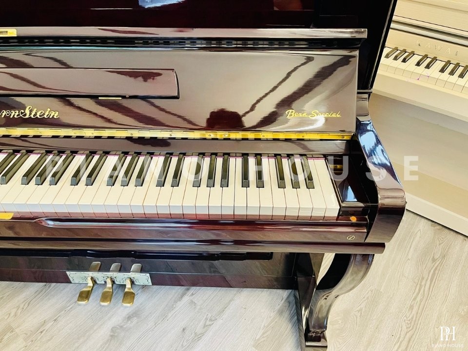 BernStein BU-230D