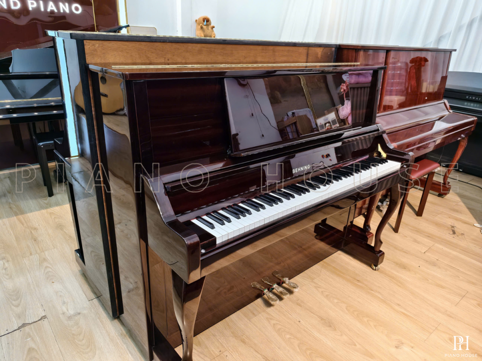 BEHNING DX-1