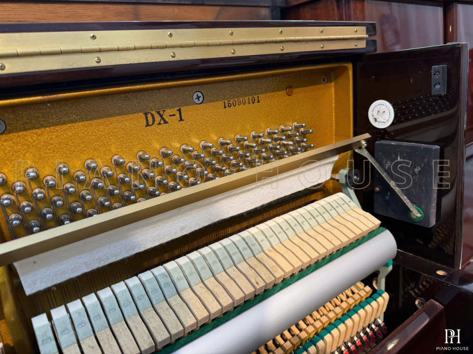 BEHNING DX-1