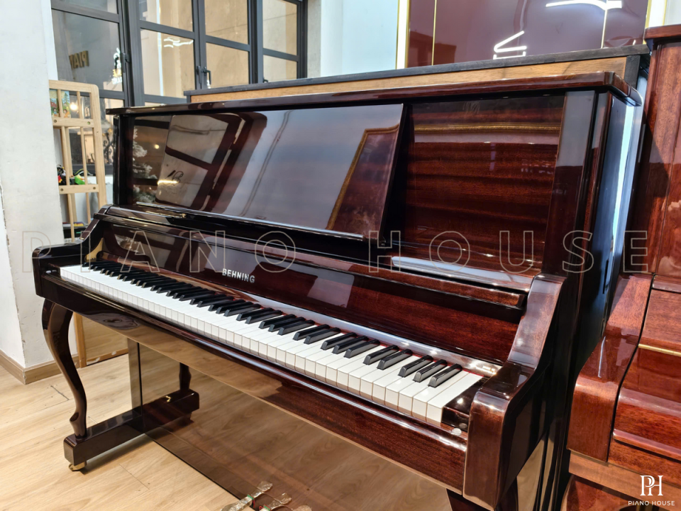 BEHNING DX-1