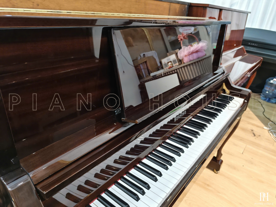 BEHNING DX-1