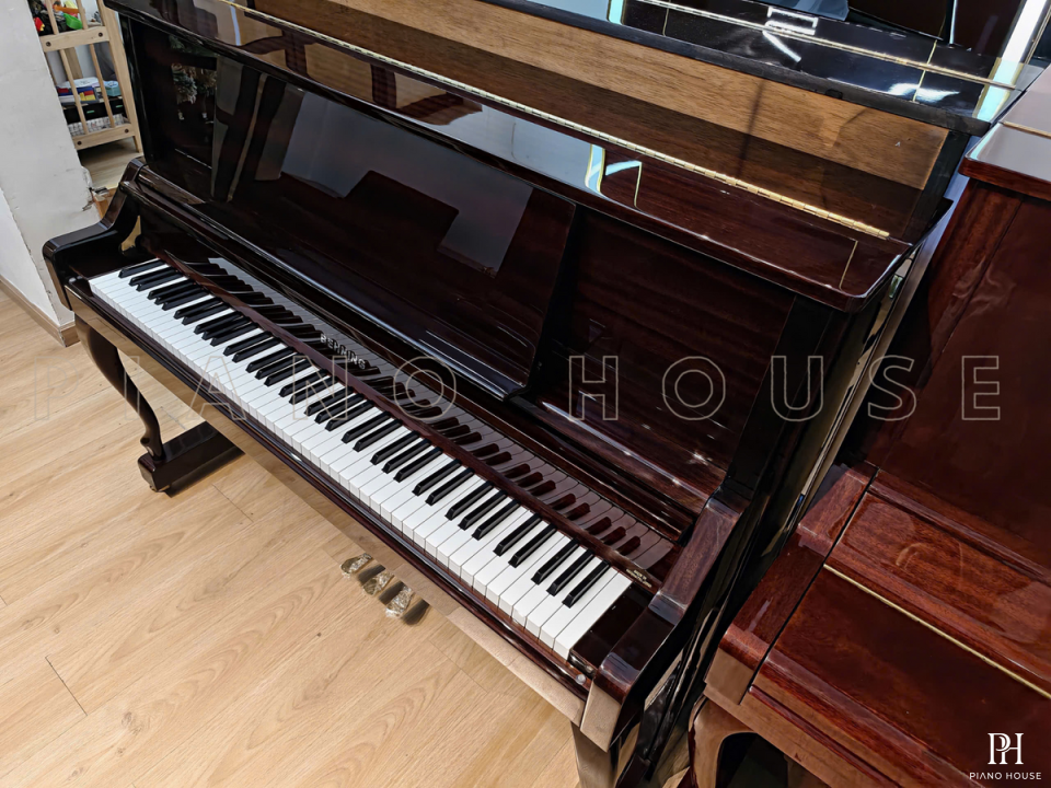 BEHNING DX-1