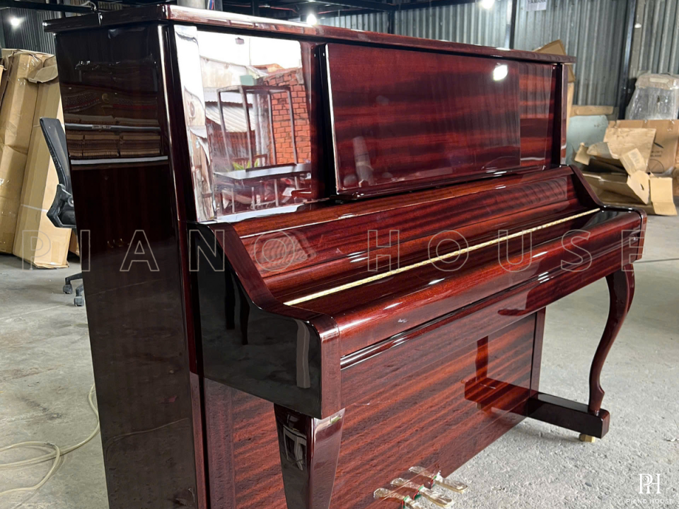 BEHNING DX-1