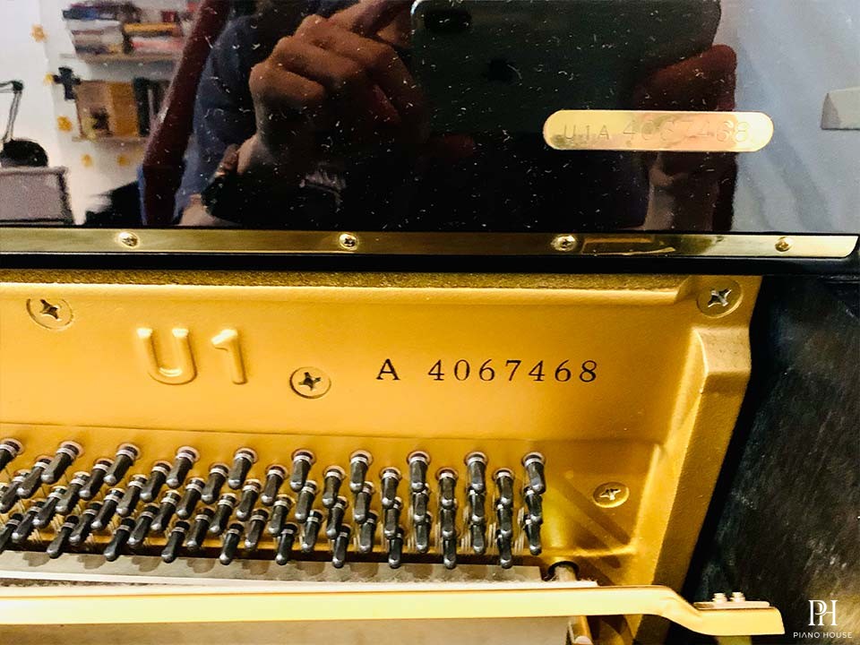 YAMAHA U1M