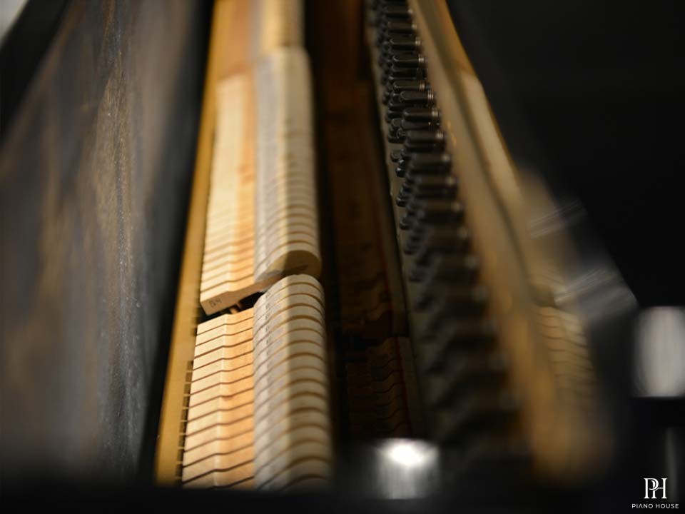 YAMAHA U1D