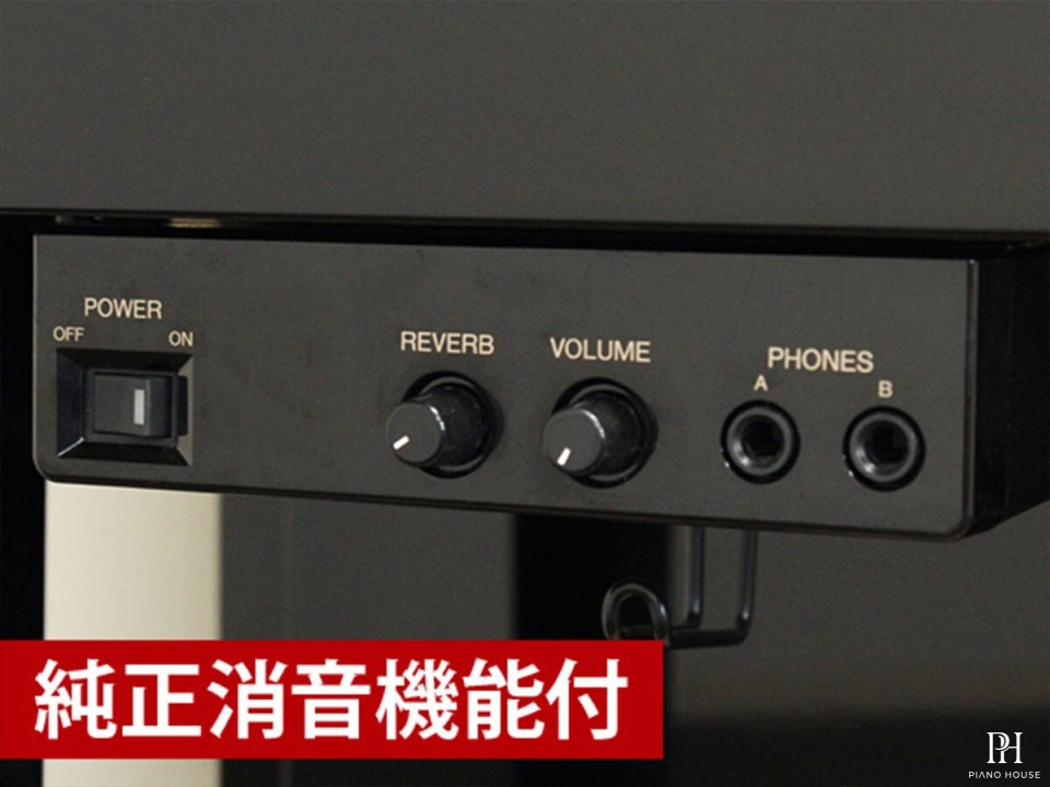 YAMAHA U300S Silent