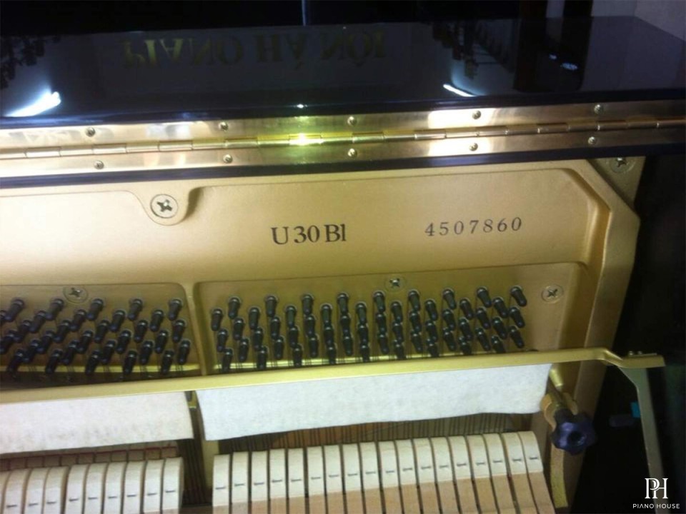 YAMAHA U30BL Disk Player