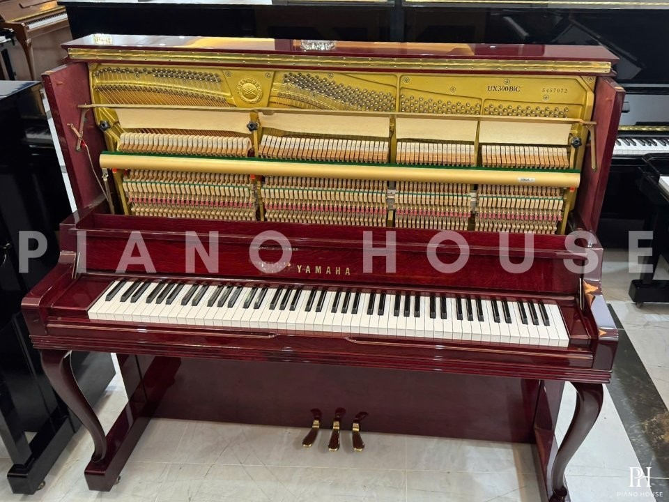 YAMAHA UX300 BiC