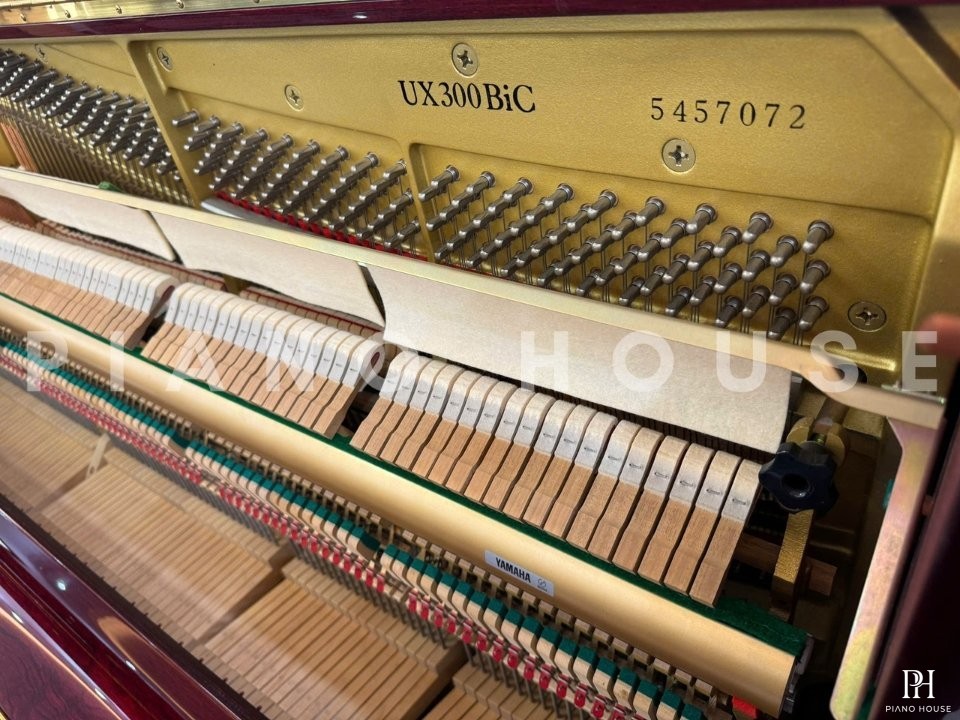 YAMAHA UX300 BiC