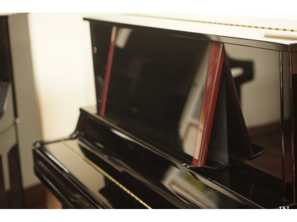YAMAHA UX300