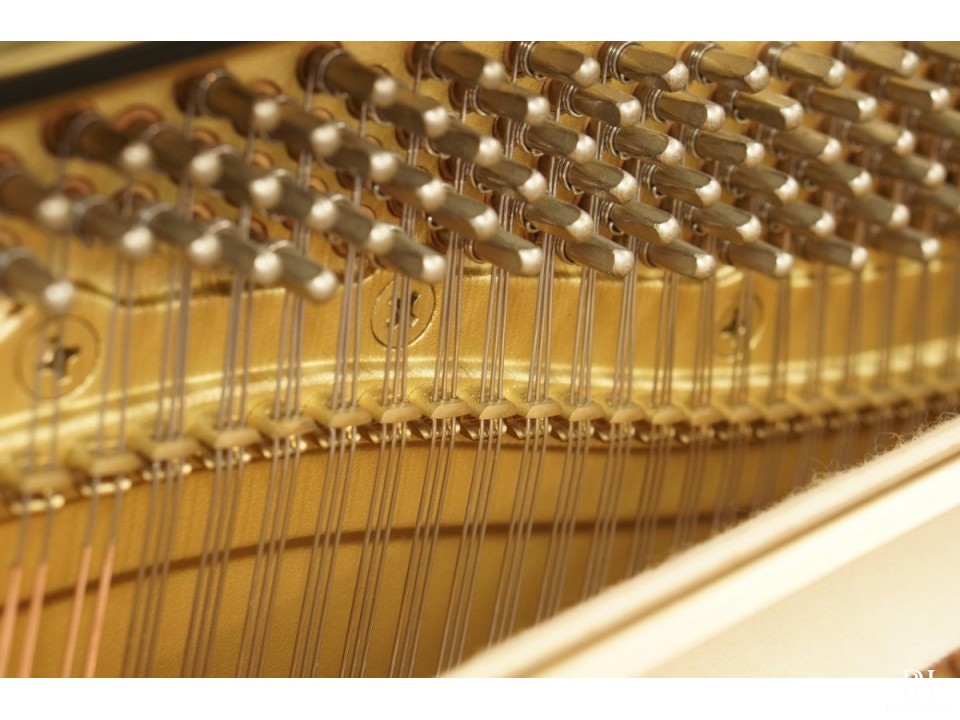 YAMAHA UX300