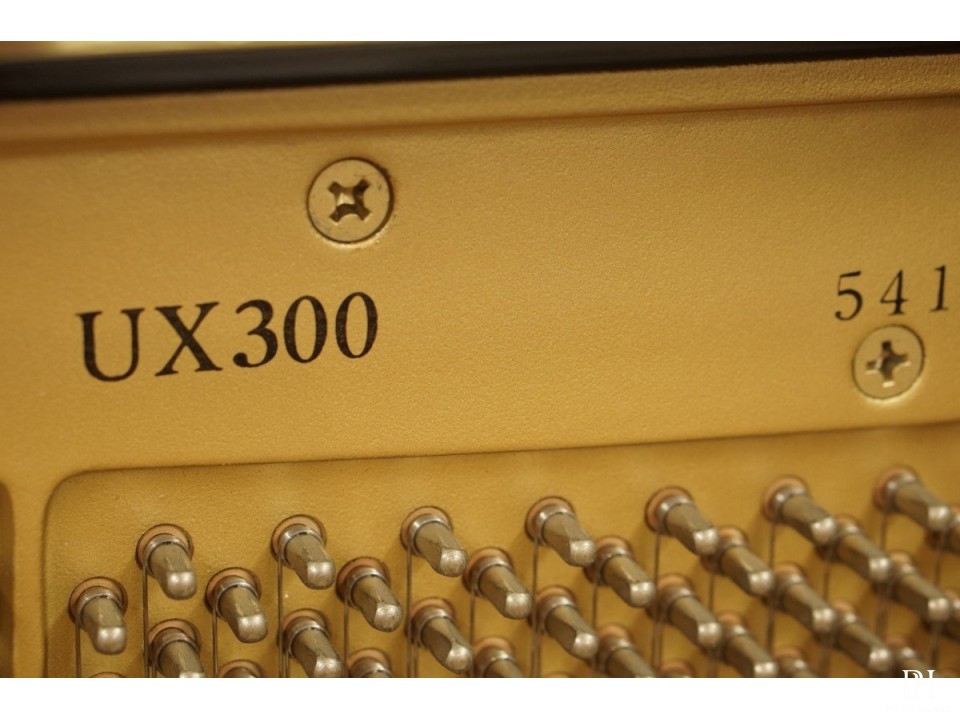 YAMAHA UX300