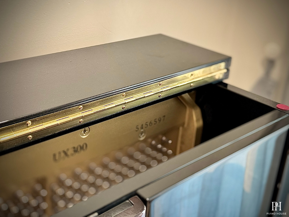 YAMAHA UX300S
