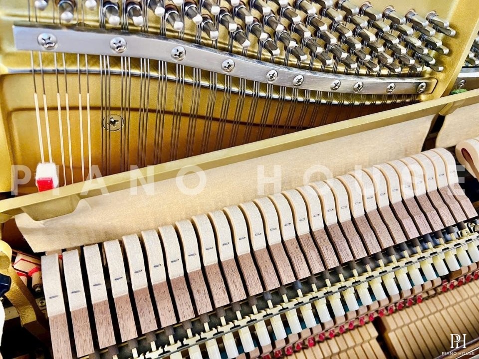 YAMAHA WX106W