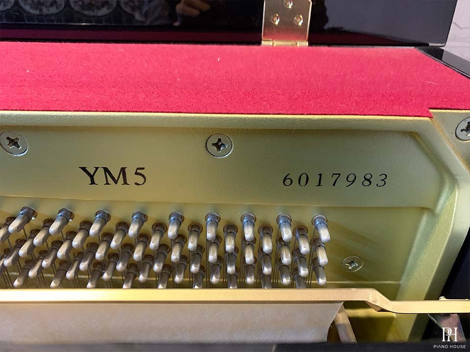 YAMAHA YM5