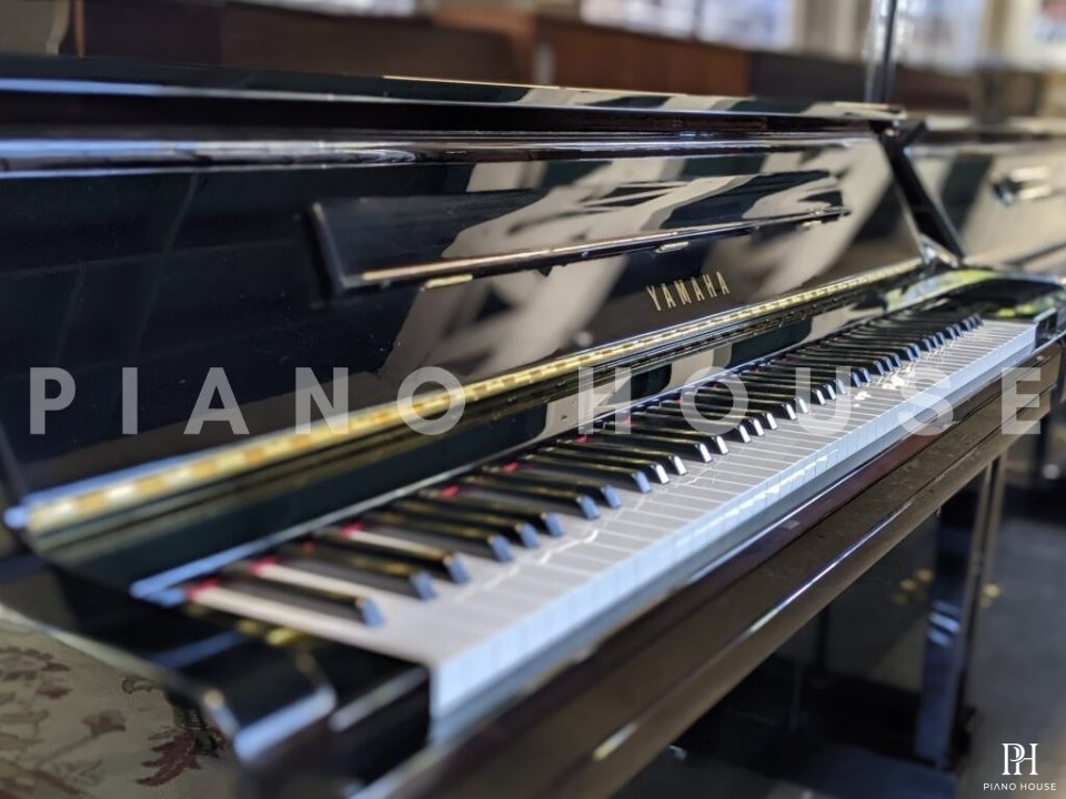 YAMAHA YU11