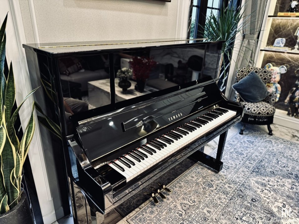 YAMAHA YU30SEB
