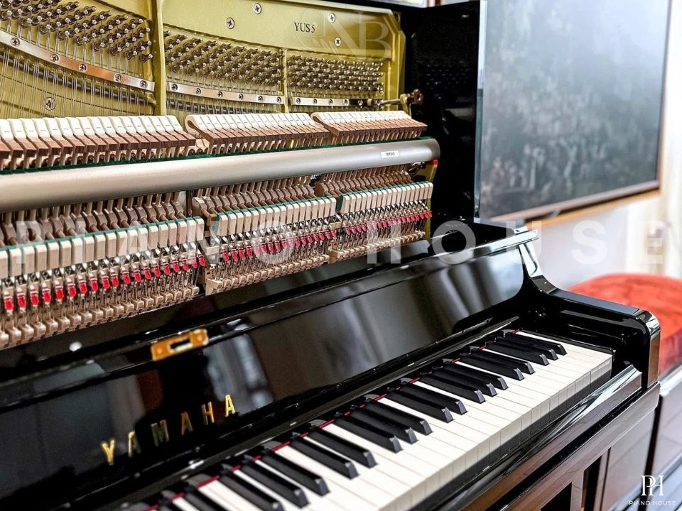 YAMAHA YUS5 SH