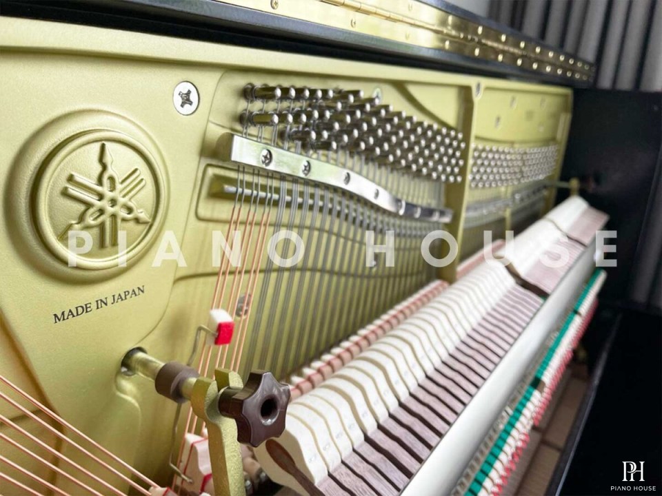 YAMAHA YUS5 SH3 PE (new)