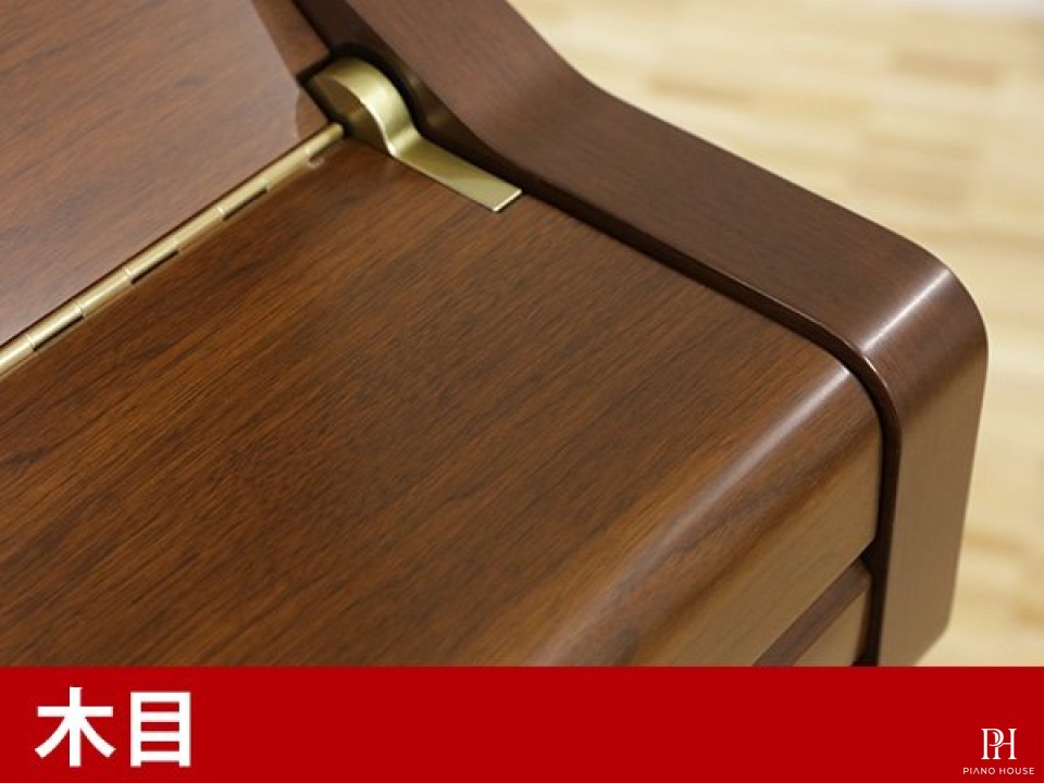 YAMAHA YU10 WnC