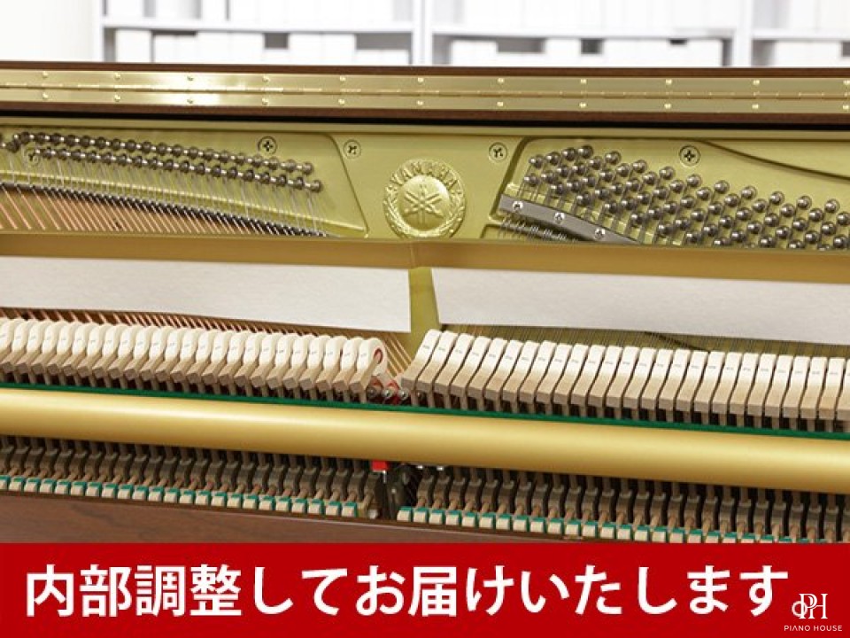 YAMAHA YU10 WnC