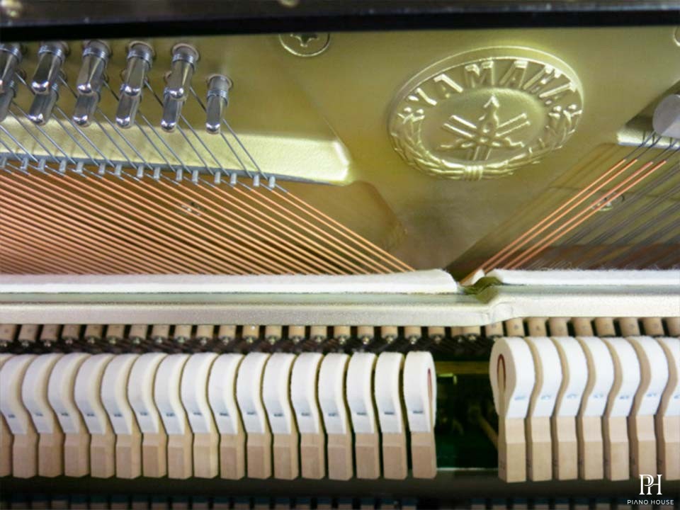 YAMAHA YU1