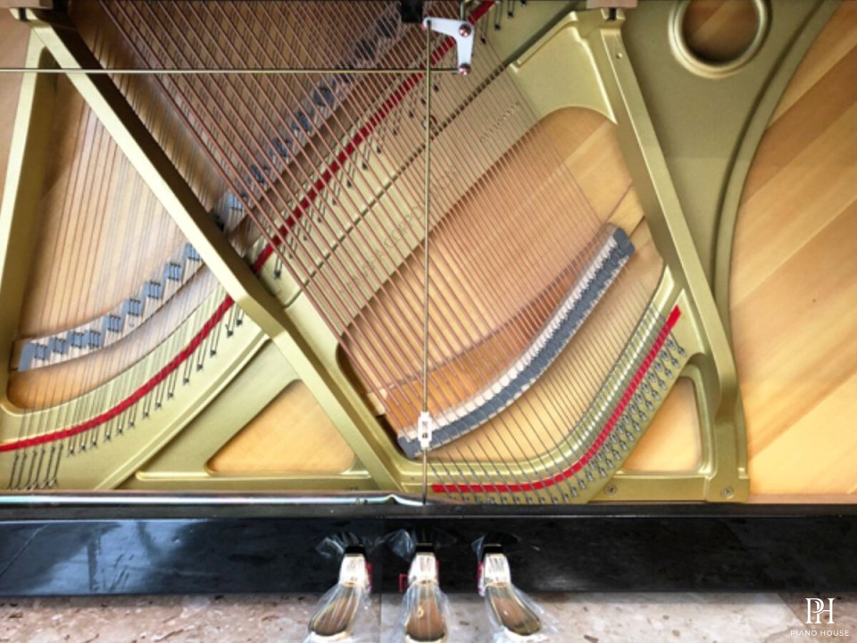 YAMAHA YU10