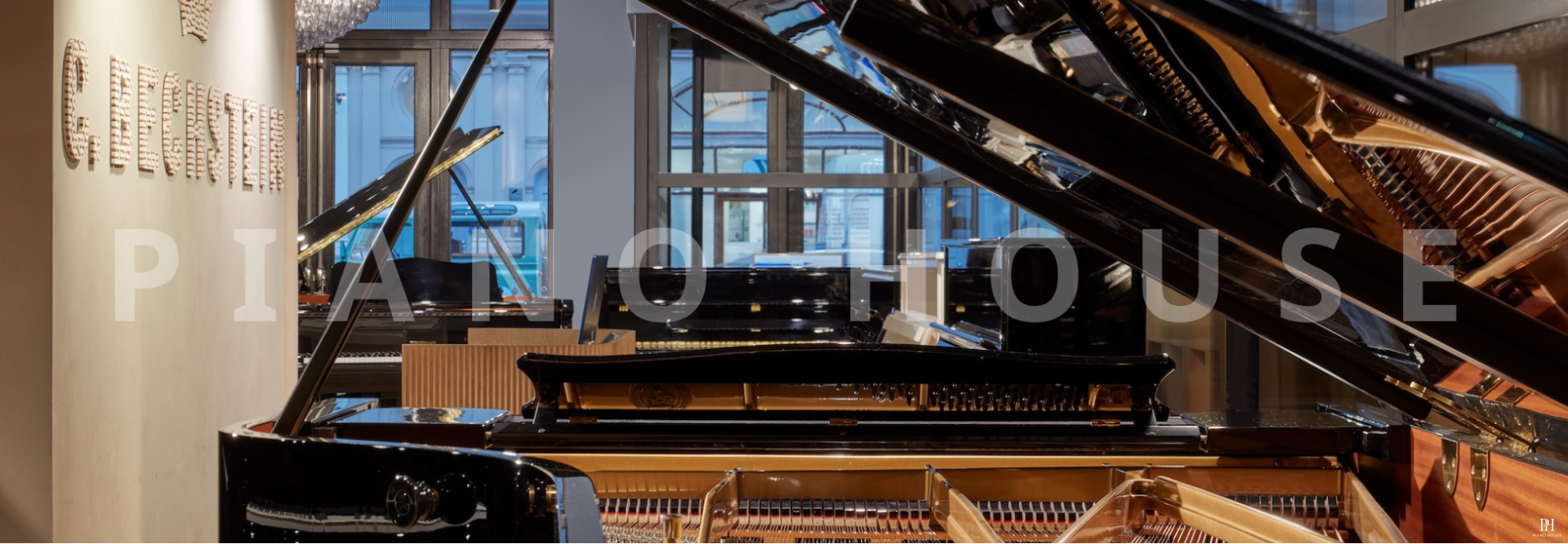 cbechstein 3