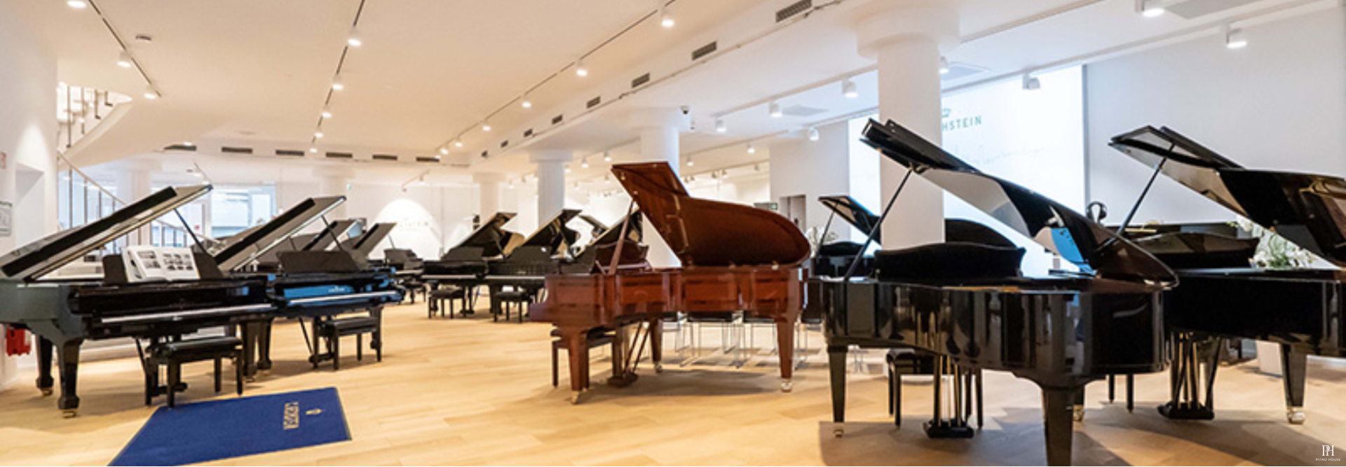 cbechstein 1