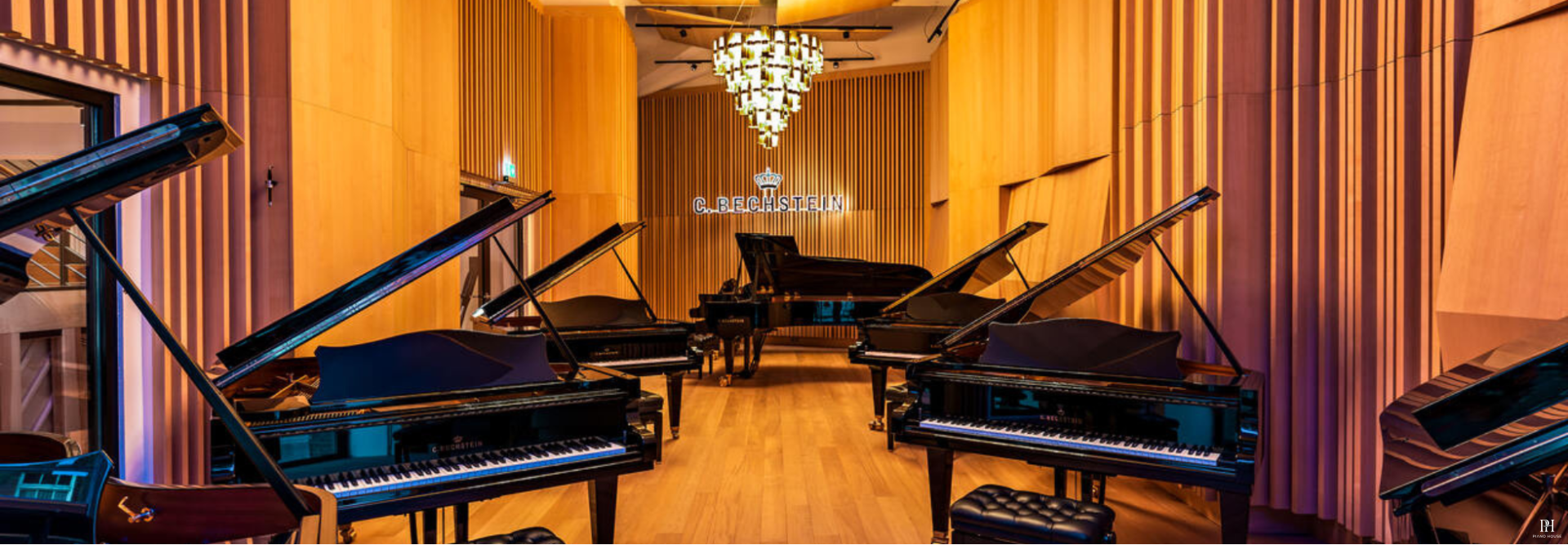 cbechstein 1