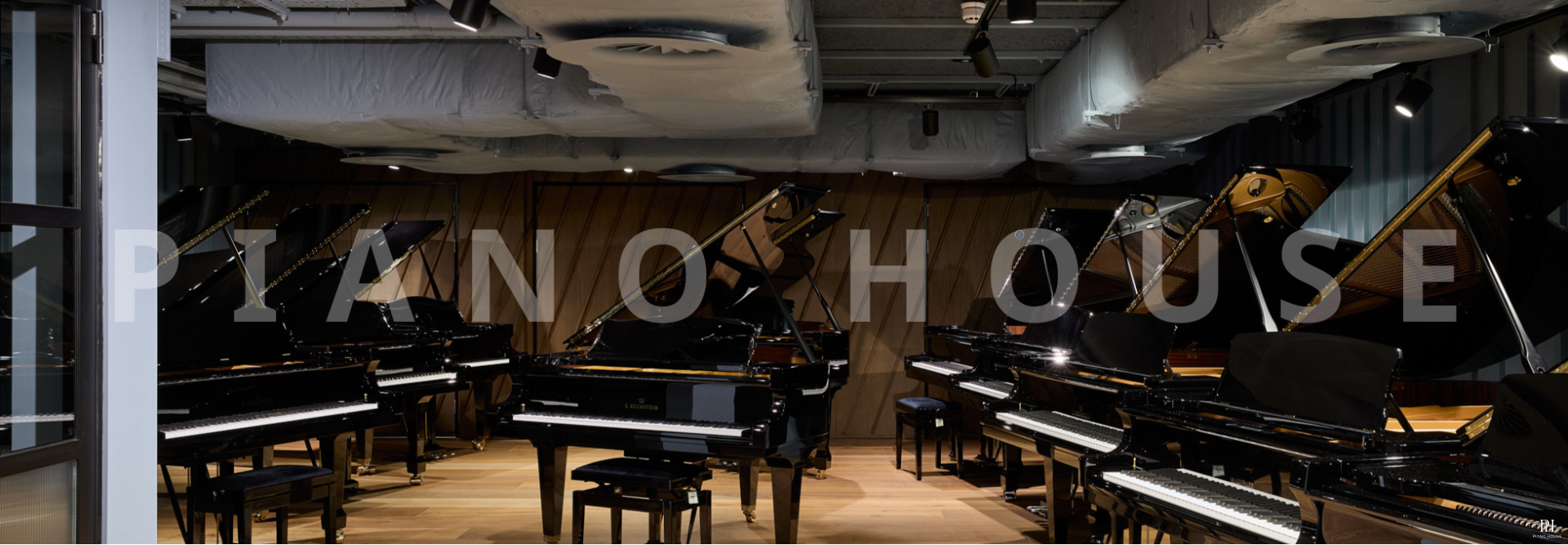 cbechstein 1