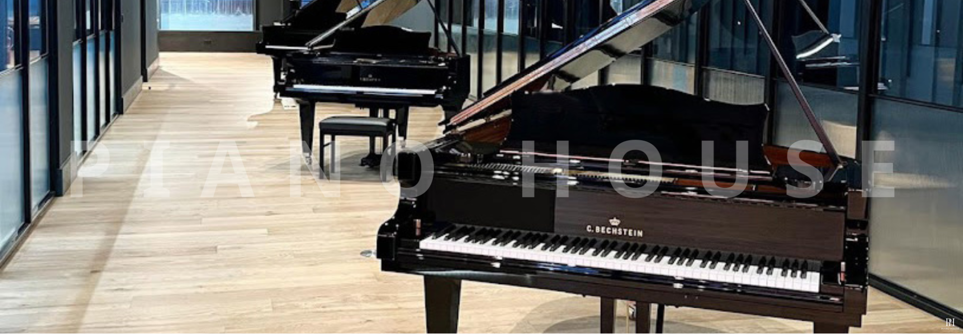 cbechstein 1
