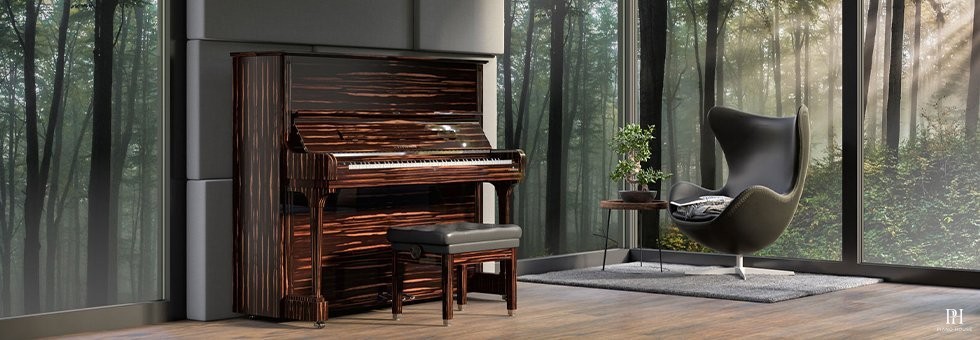 cbechstein upright banner