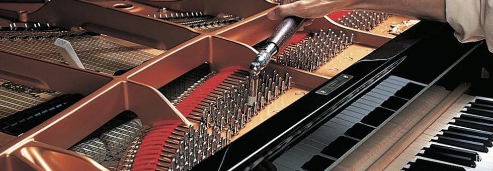cf series 3