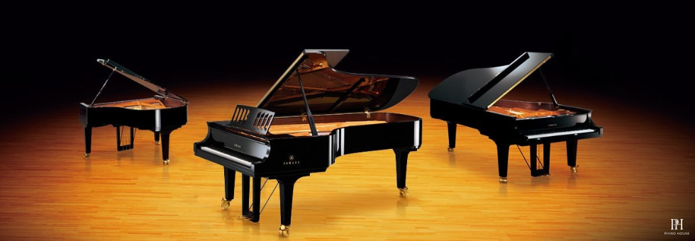 cf series 4