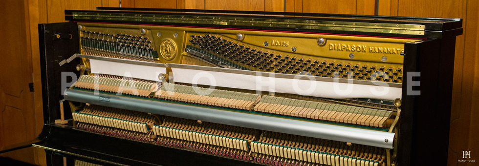 Diapason Banner Upright